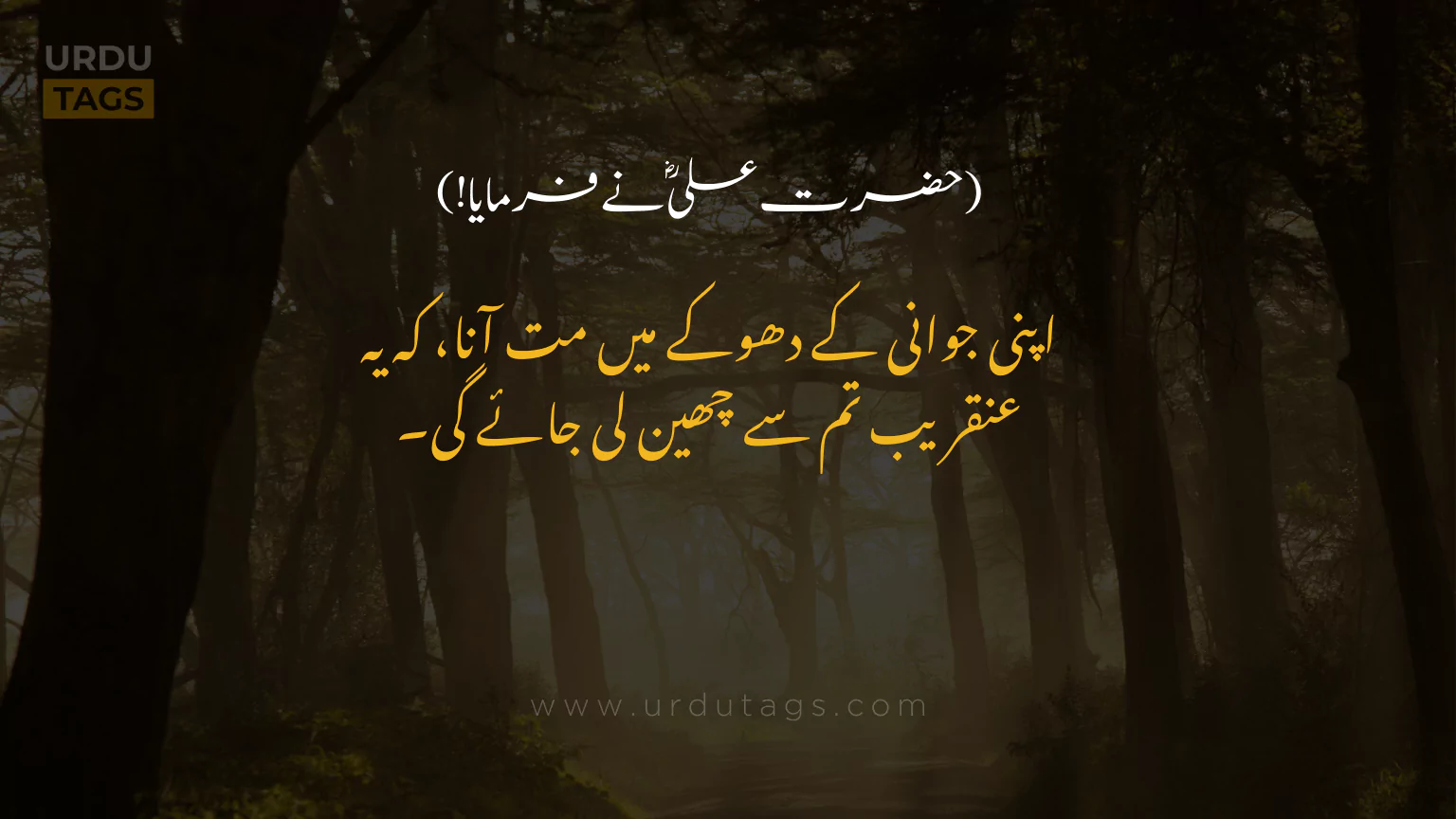 Hazrat-Ali-RA-Quotes-In-Urdu-UrduTags