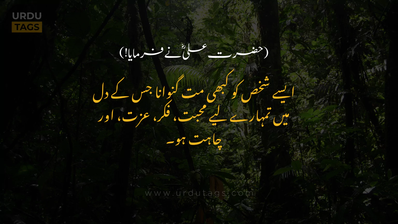 Hazrat-Ali-RA-Quotes-In-Urdu-UrduTags