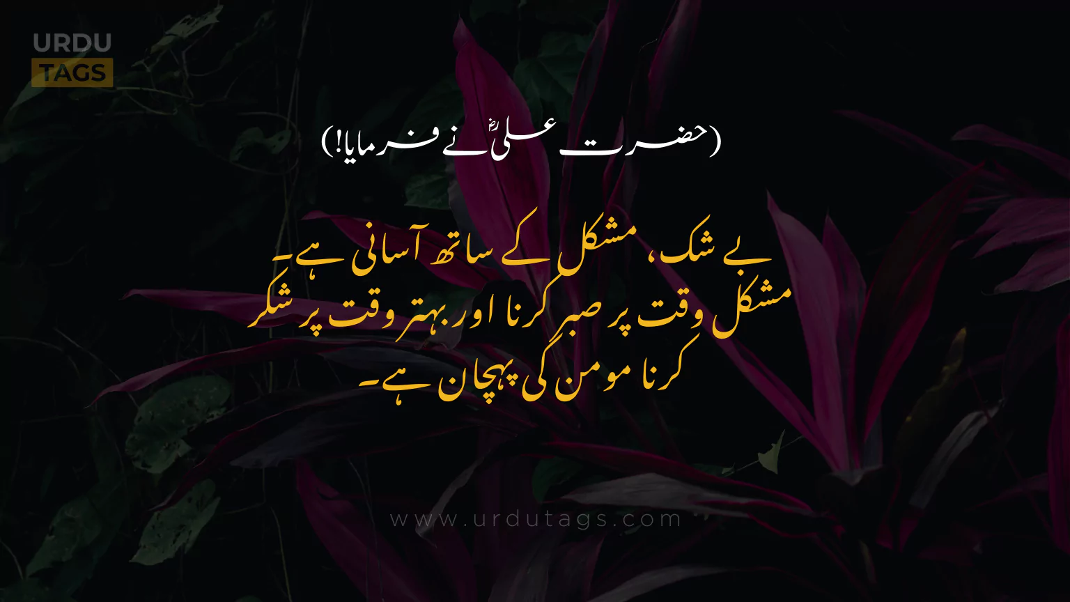 Hazrat-Ali-RA-Quotes-In-Urdu-UrduTags