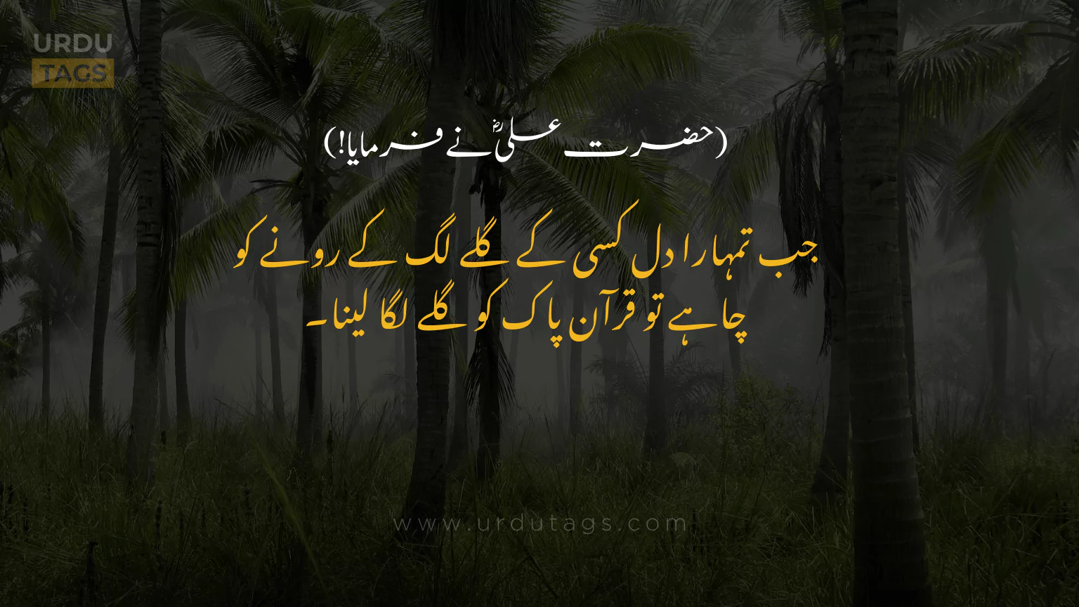 Hazrat-Ali-RA-Quotes-In-Urdu-UrduTags