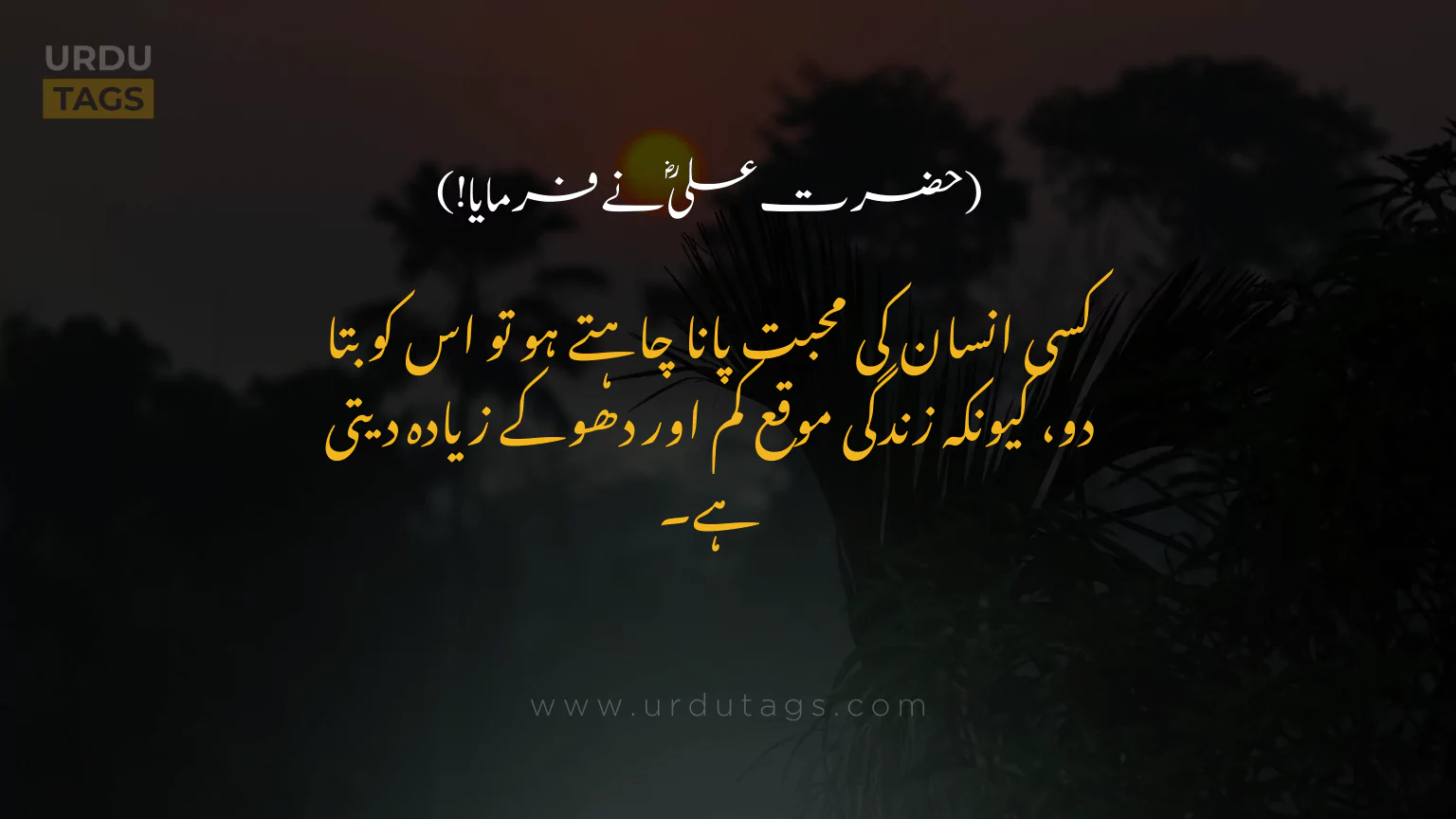 Hazrat-Ali-RA-Quotes-In-Urdu-UrduTags