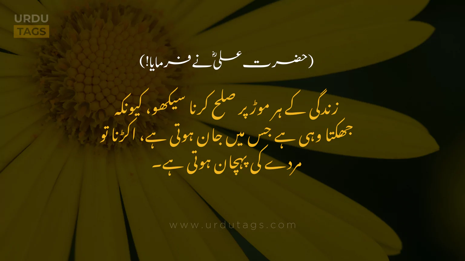 Hazrat-Ali-RA-Quotes-In-Urdu-UrduTags