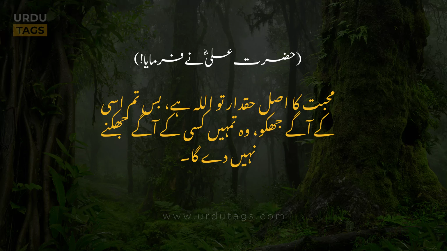 Hazrat-Ali-RA-Quotes-In-Urdu-UrduTags