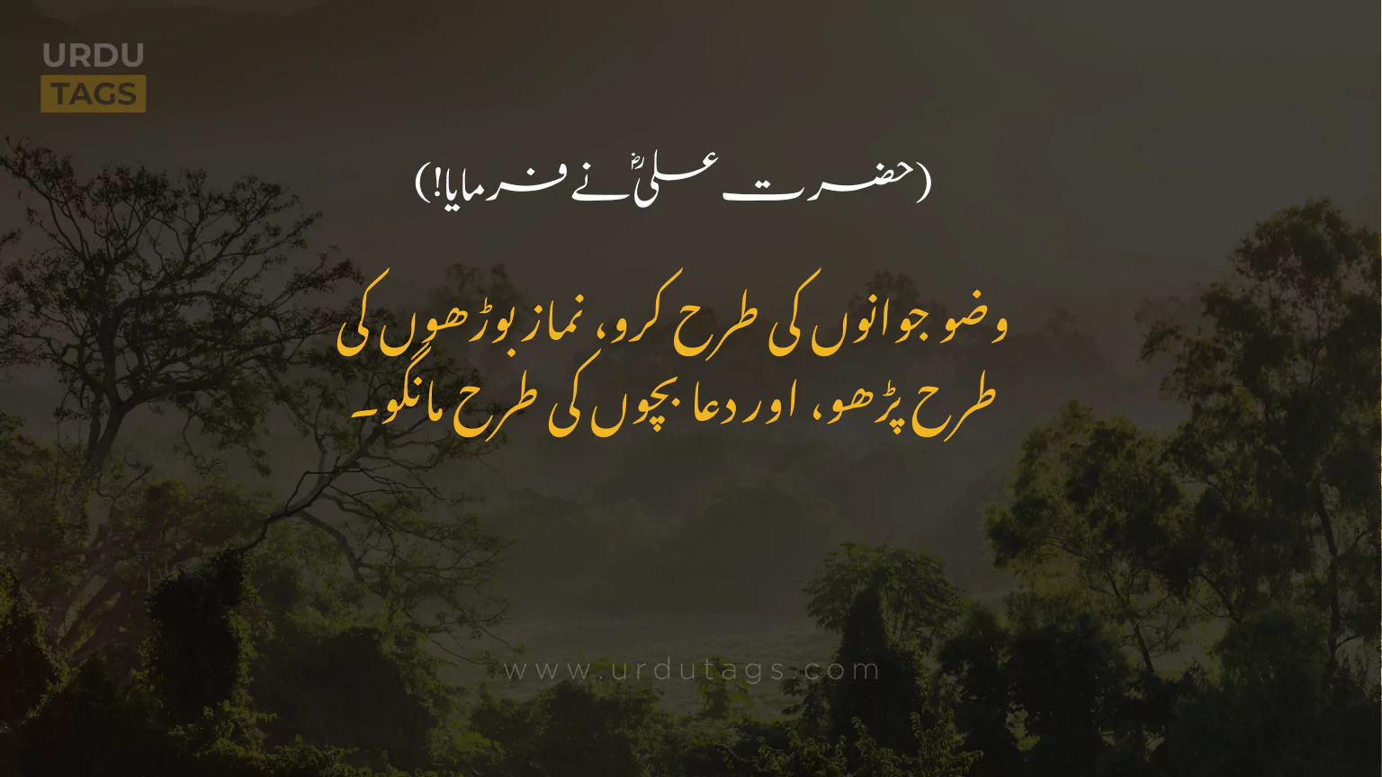 Hazrat-Ali-RA-Quotes-In-Urdu-UrduTags