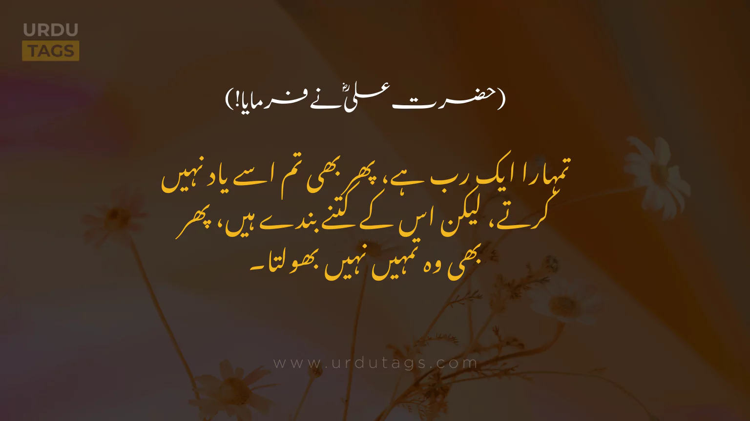 Hazrat-Ali-RA-Quotes-In-Urdu-UrduTags