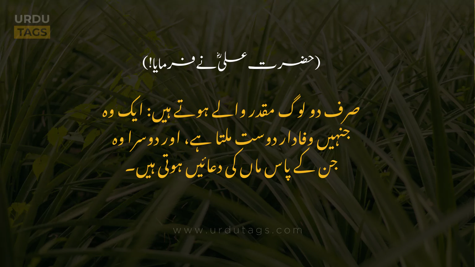 Hazrat-Ali-RA-Quotes-In-Urdu-UrduTags