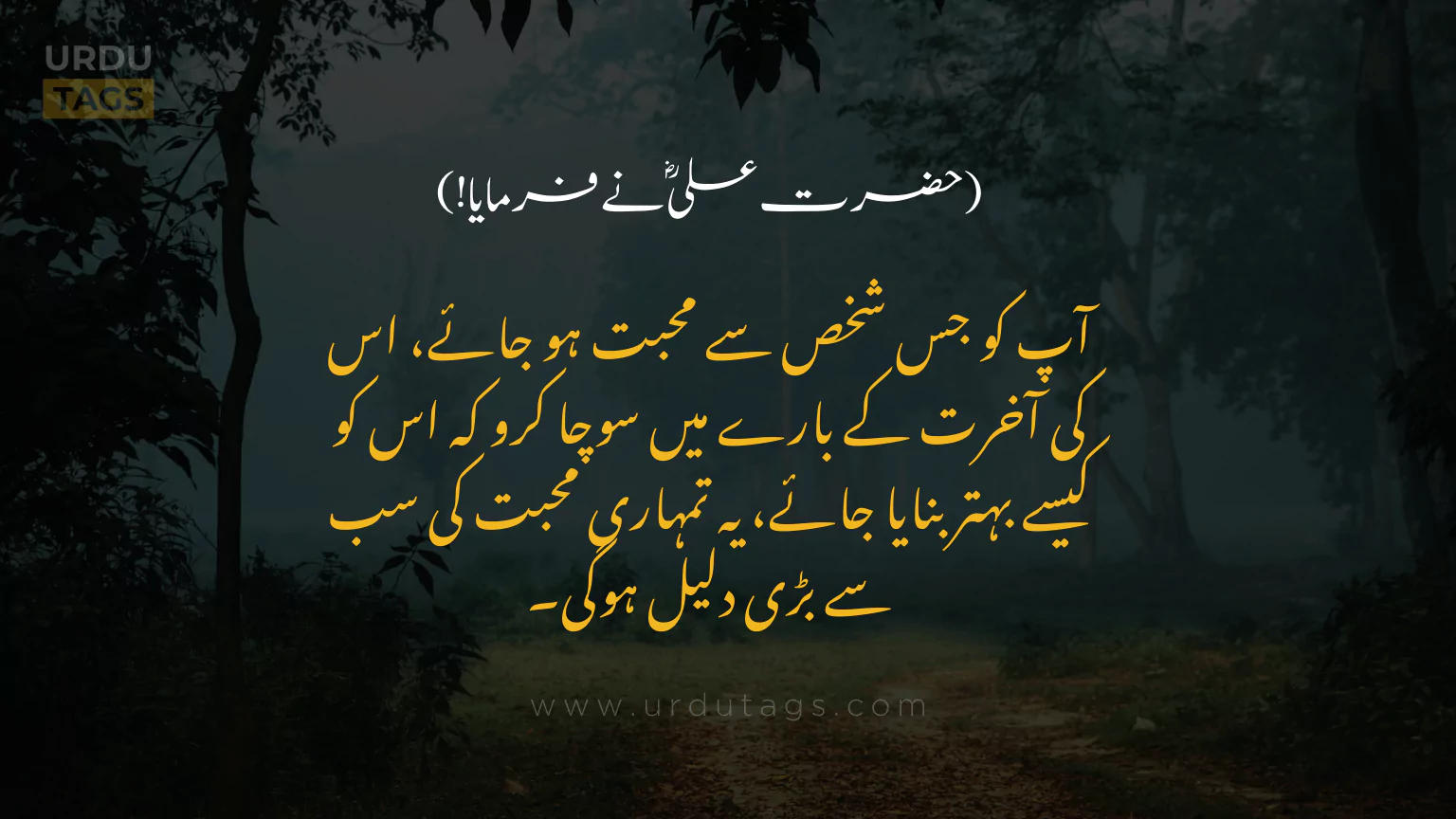 Hazrat-Ali-RA-Quotes-In-Urdu-UrduTags