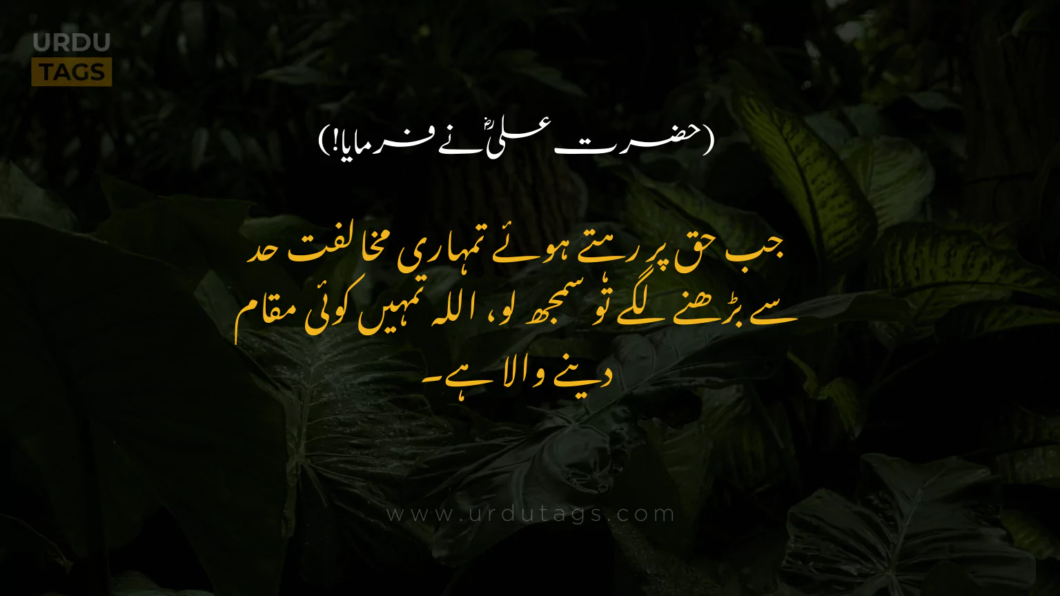 Hazrat-Ali-RA-Quotes-In-Urdu-UrduTags