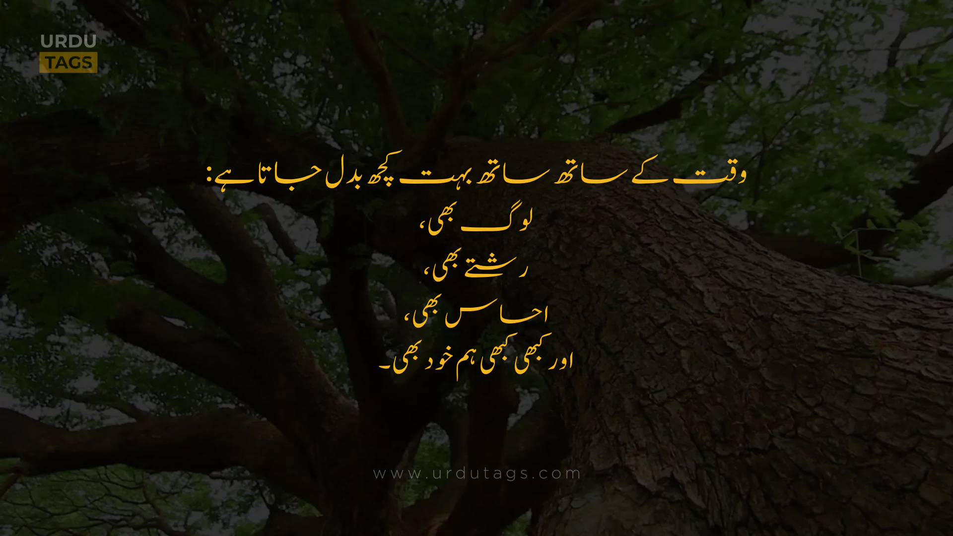 Best Heart Touching Urdu Quotes About Life in Urdu - UrduTags