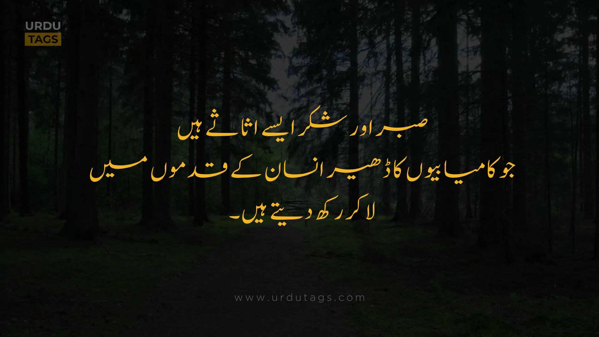 Best Heart Touching Urdu Quotes About Life in Urdu - UrduTags