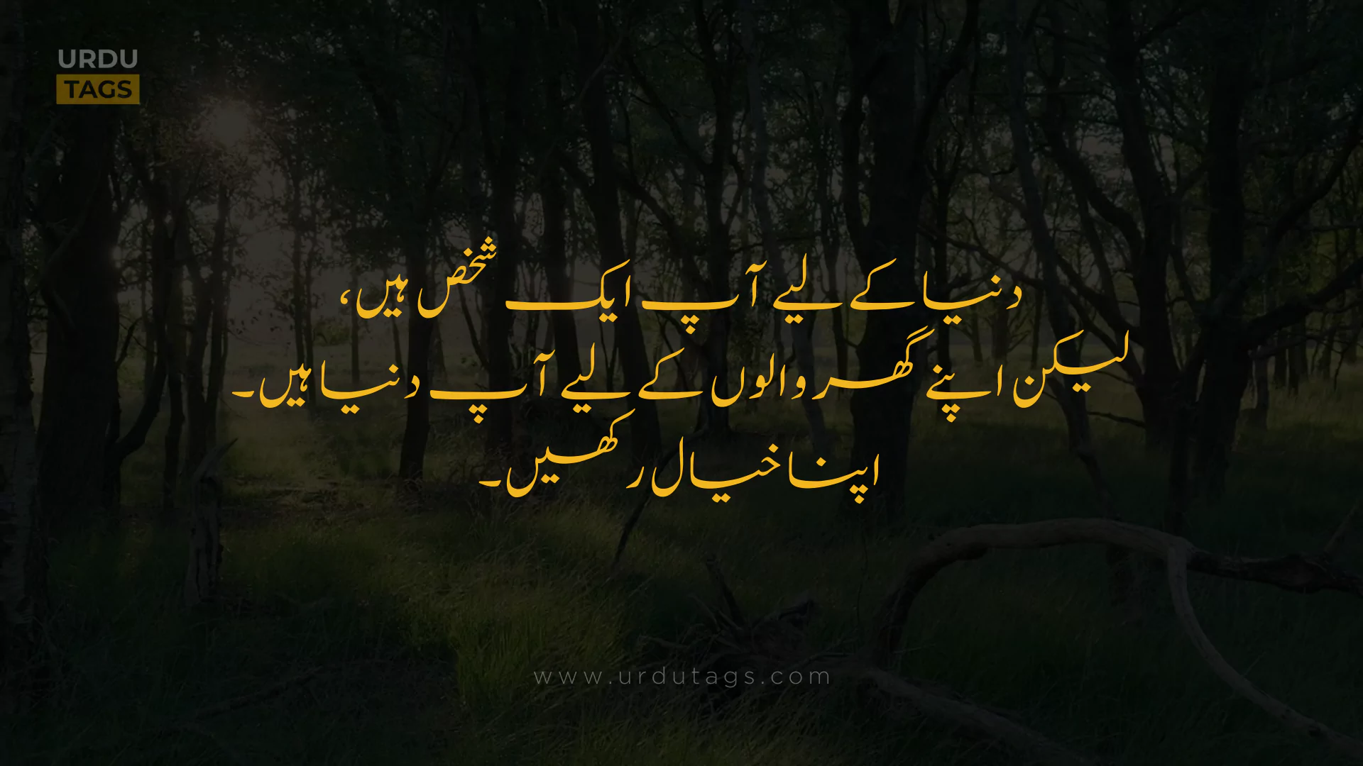 Best Heart Touching Urdu Quotes About Life in Urdu - UrduTags