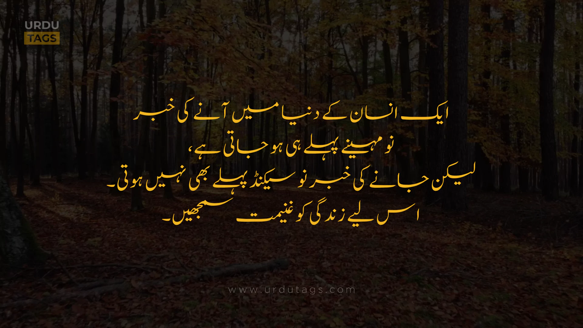 Best Heart Touching Urdu Quotes About Life in Urdu - UrduTags