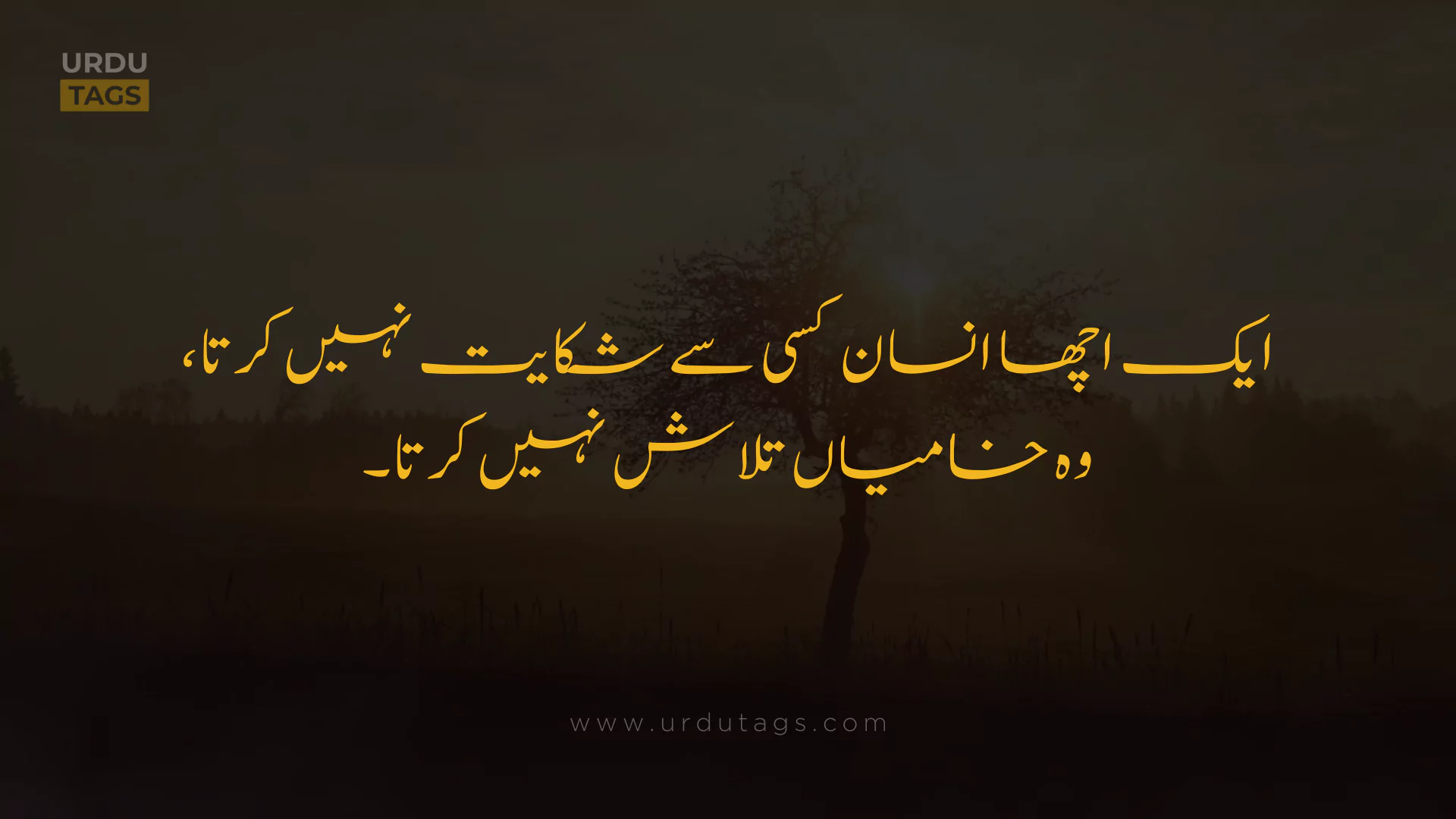 Best Heart Touching Urdu Quotes About Life in Urdu - UrduTags