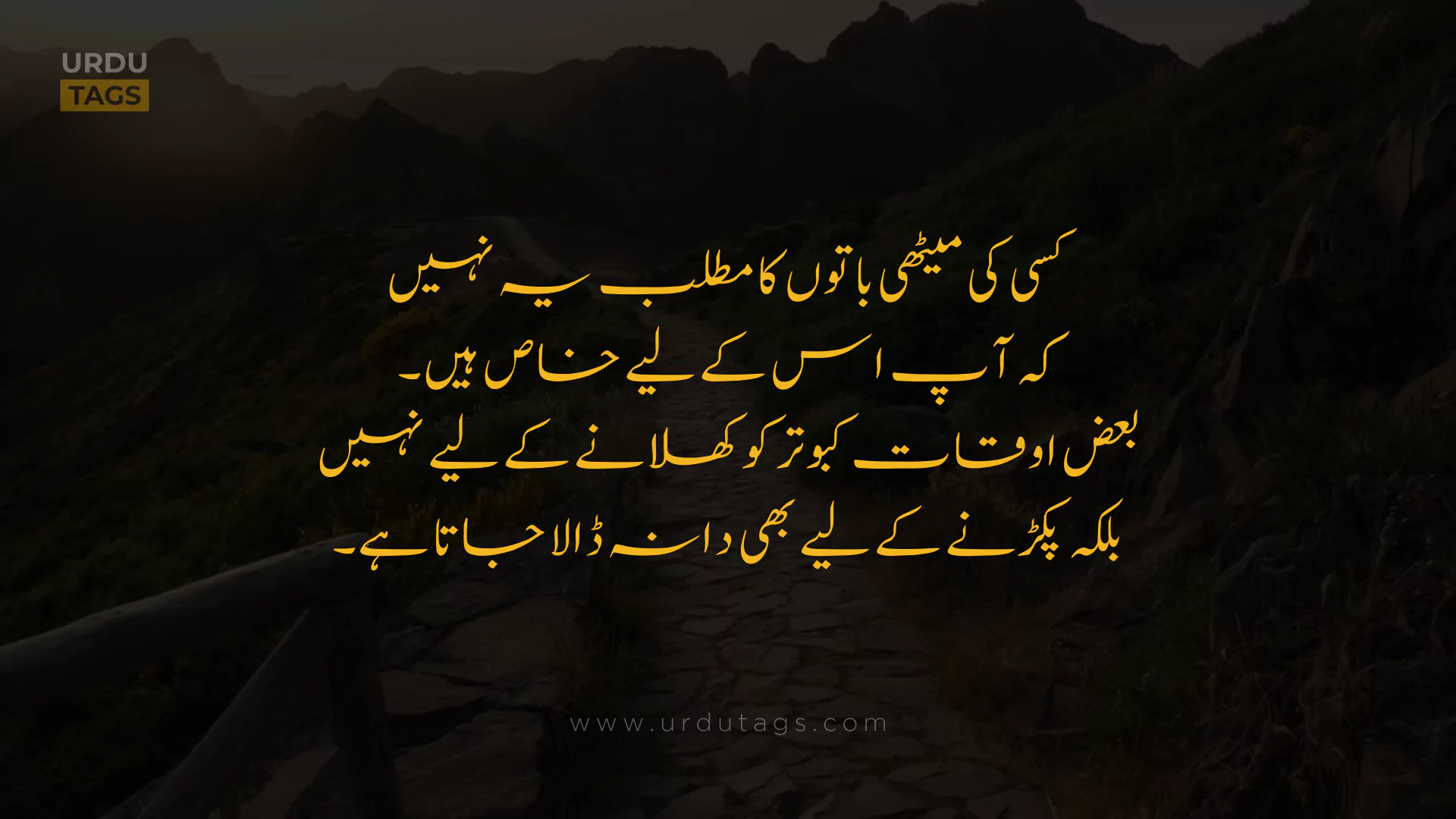 Best Heart Touching Urdu Quotes About Life in Urdu - UrduTags