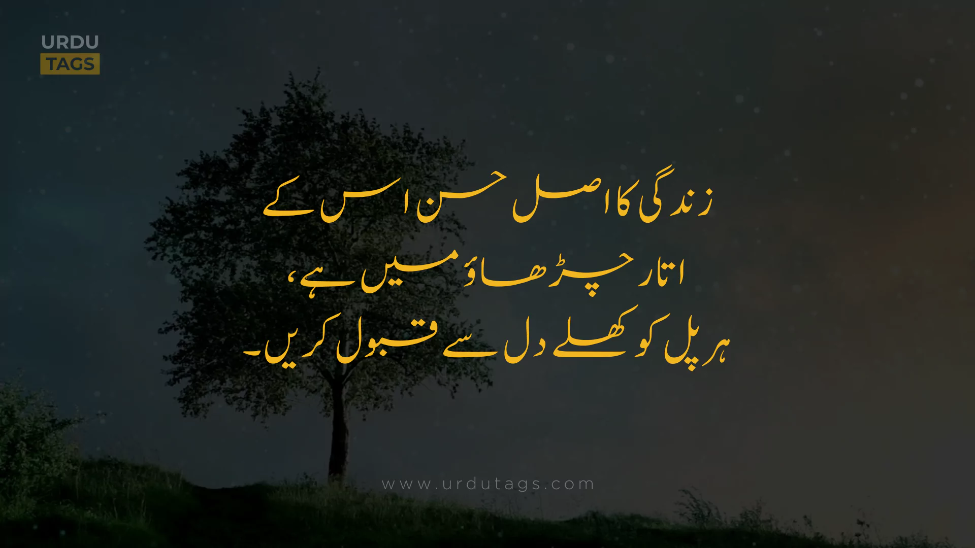 Best Heart Touching Urdu Quotes About Life in Urdu - UrduTags