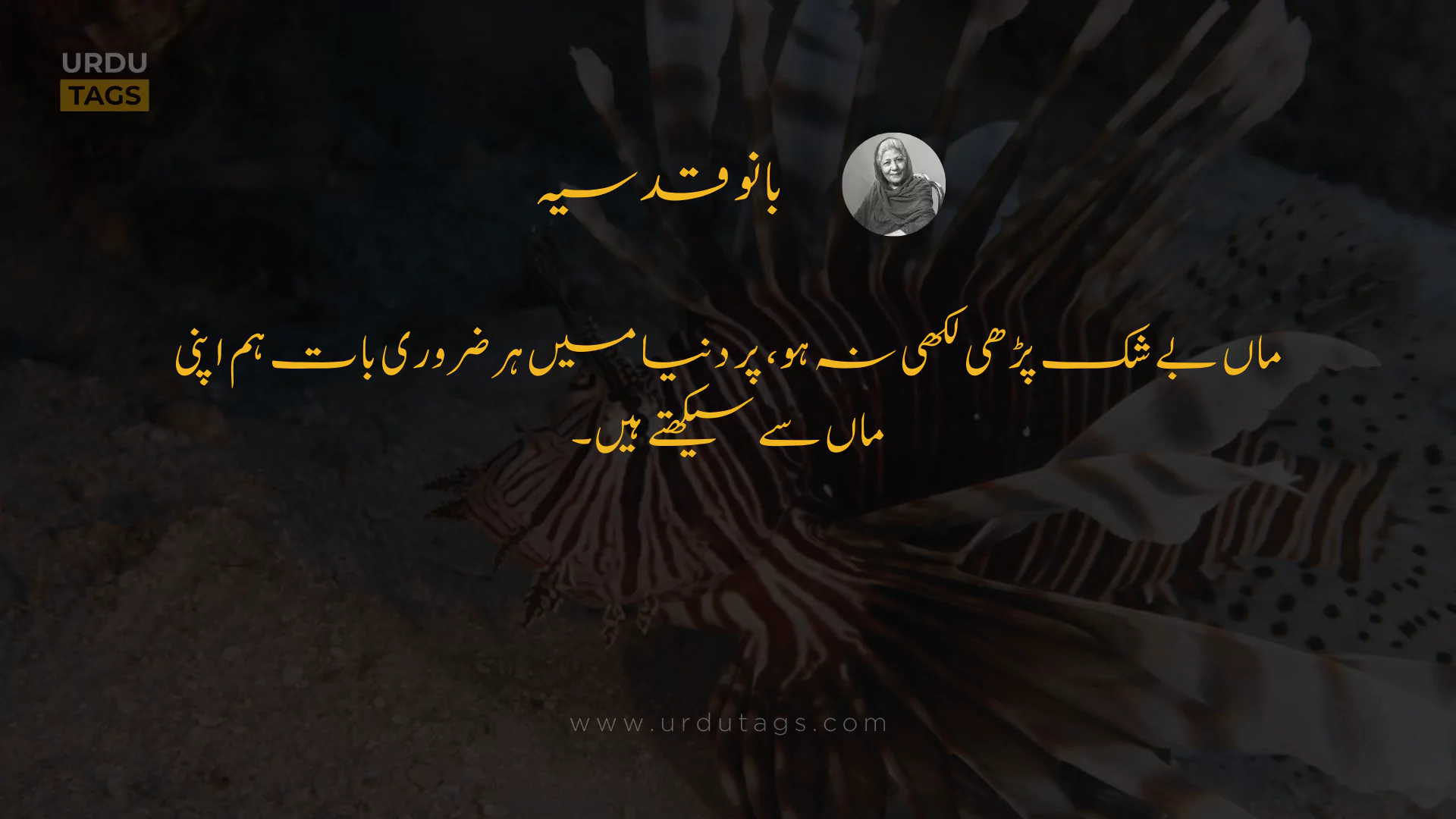 Bano Qudsia Quote 25